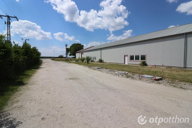 Eladó és kiadó ingatlanok Tiszapalkonyán (5 db olcsó ingatlan